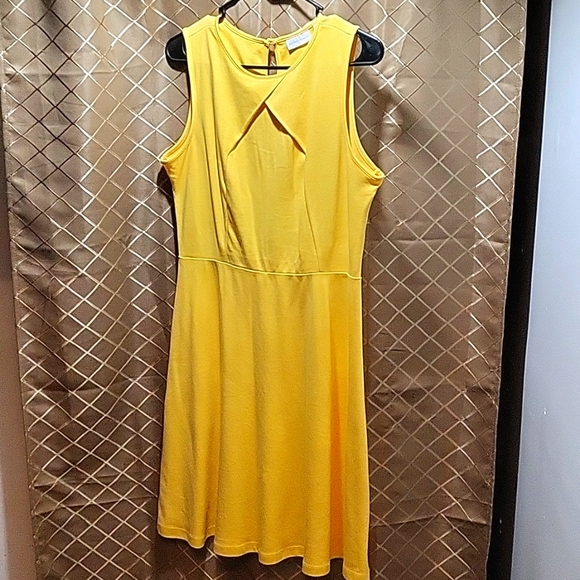 3 lightly worn solid colors and 1  never worn multi color NY&Co  dresses - Picture 2 of 5